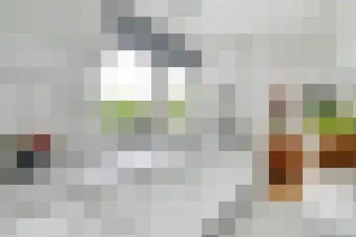 Sibculoseweg 61 Westerhaar-Vriezenveensewijk thumbnail 33