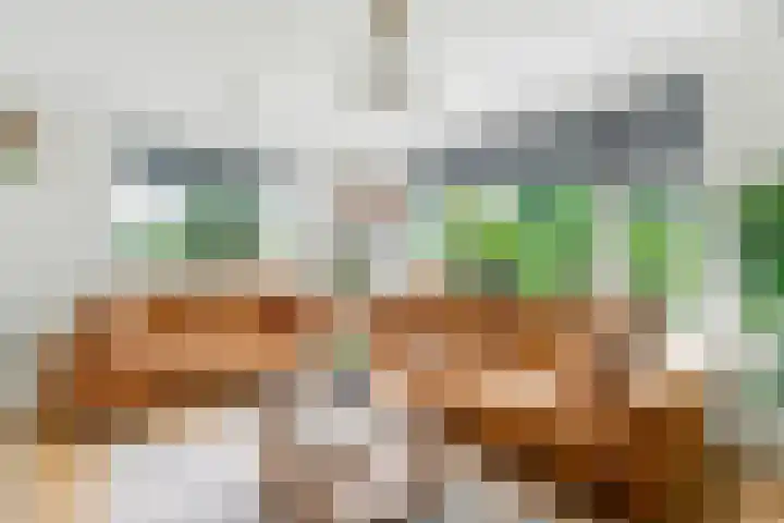 Sibculoseweg 61 Westerhaar-Vriezenveensewijk thumbnail 36