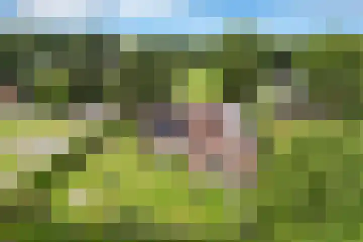 Sibculoseweg 61 Westerhaar-Vriezenveensewijk thumbnail 40
