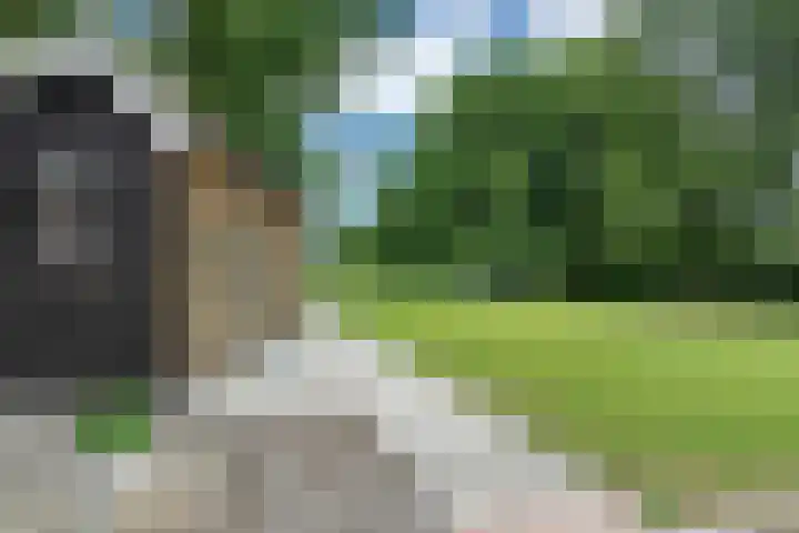 Sibculoseweg 61 Westerhaar-Vriezenveensewijk thumbnail 47