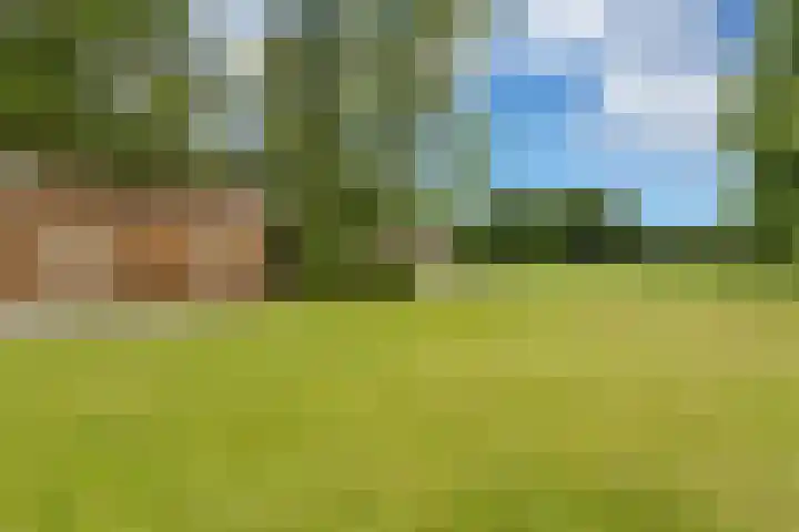 Sibculoseweg 61 Westerhaar-Vriezenveensewijk thumbnail 48