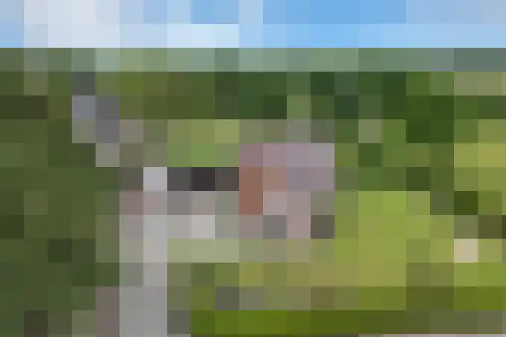 Sibculoseweg 61 Westerhaar-Vriezenveensewijk thumbnail 5