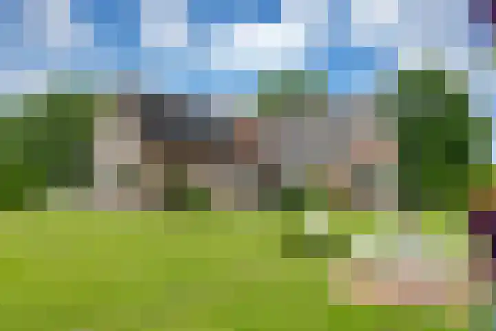 Sibculoseweg 61 Westerhaar-Vriezenveensewijk thumbnail 6