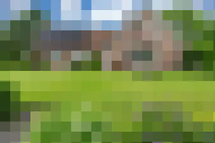 Sibculoseweg 61 Westerhaar-Vriezenveensewijk thumbnail 7