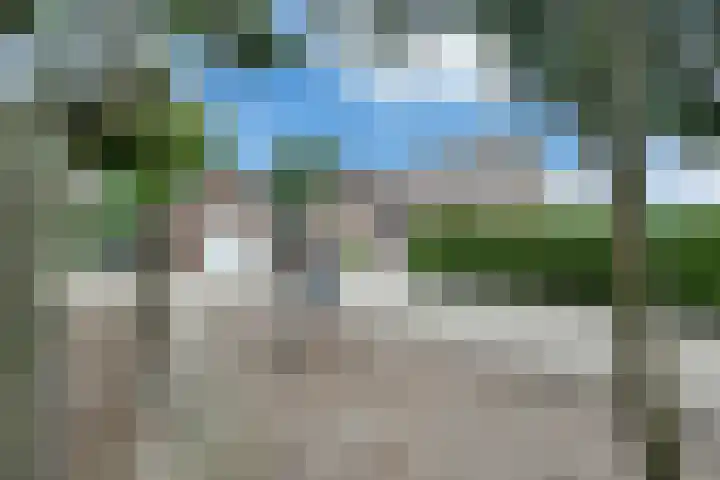 Sibculoseweg 61 Westerhaar-Vriezenveensewijk thumbnail 8