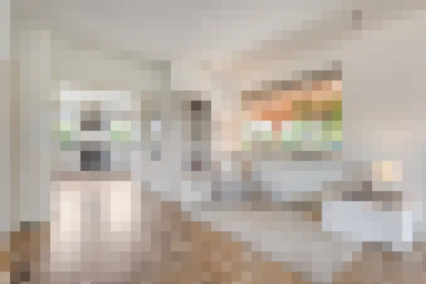 Sibculoseweg 78 Westerhaar-Vriezenveensewijk thumbnail 10