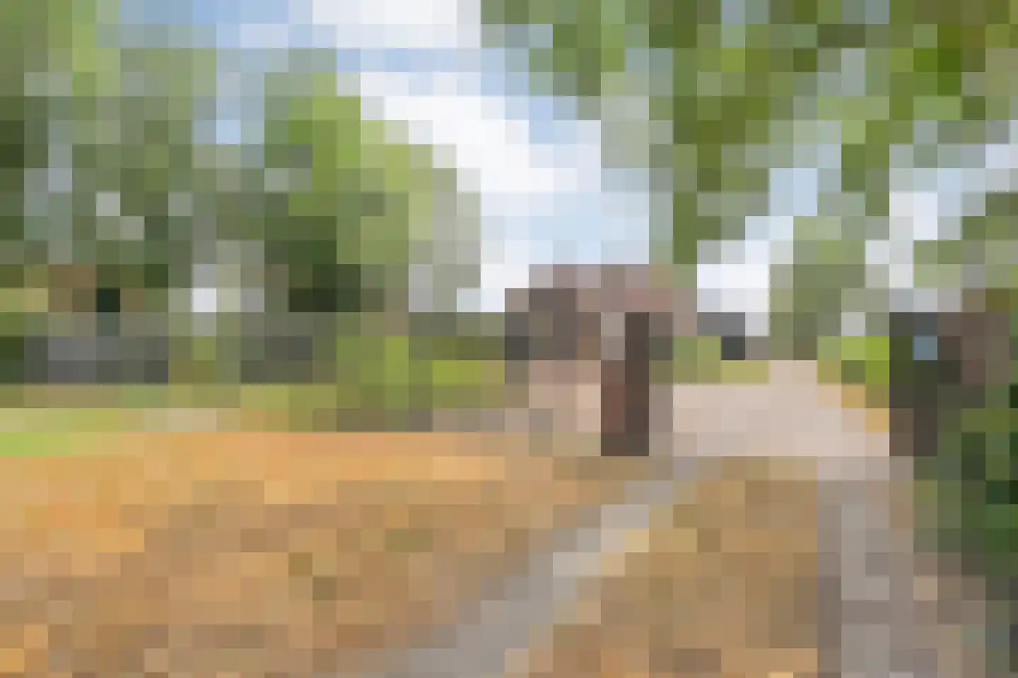 Sibculoseweg 78 Westerhaar-Vriezenveensewijk thumbnail 30