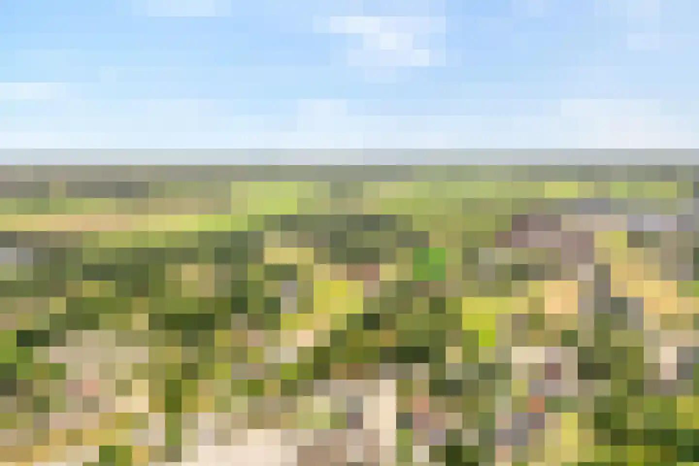Sibculoseweg 78 Westerhaar-Vriezenveensewijk thumbnail 31