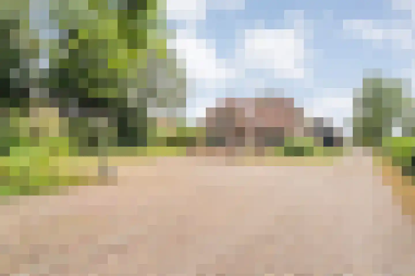 Sibculoseweg 78 Westerhaar-Vriezenveensewijk thumbnail 5