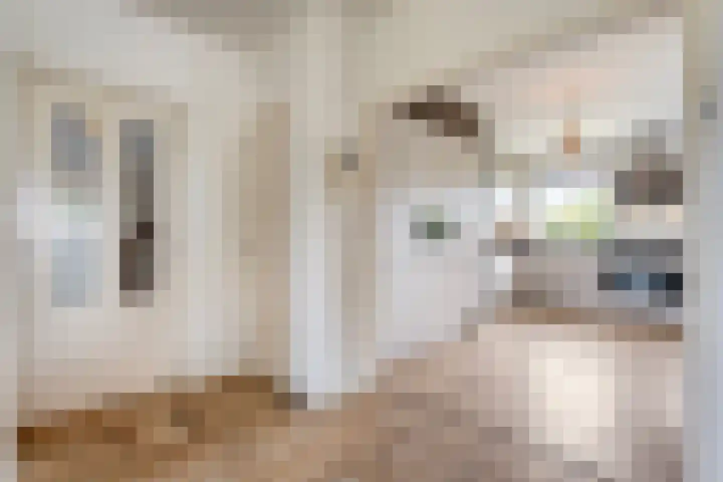 Sibculoseweg 78 Westerhaar-Vriezenveensewijk thumbnail 8