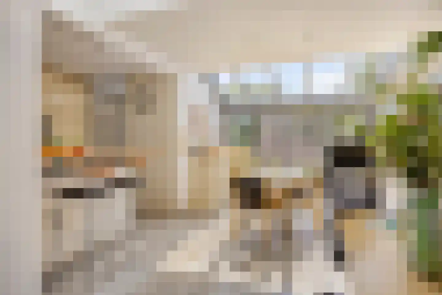 Sibeliuslaan 51 Oss thumbnail 14