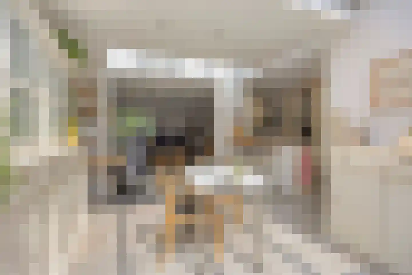 Sibeliuslaan 51 Oss thumbnail 15
