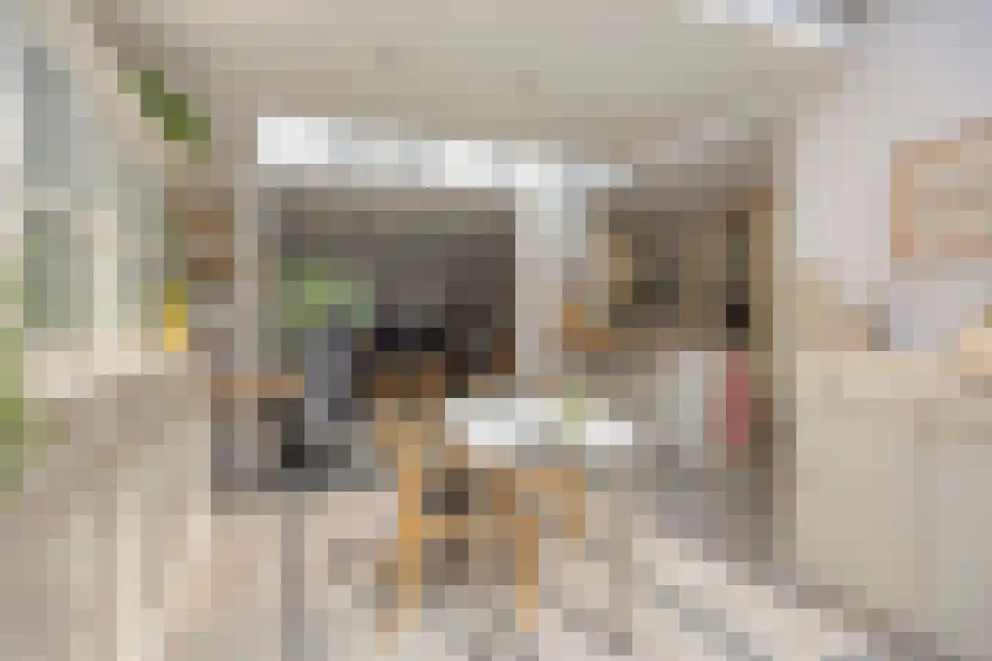 Sibeliuslaan 51 Oss thumbnail 16