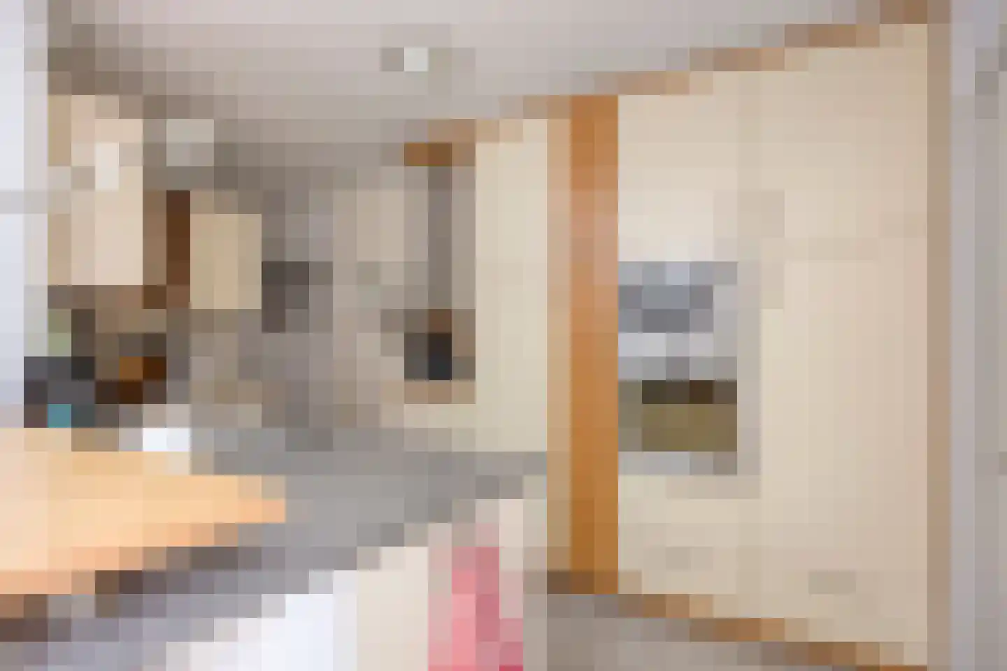 Sibeliuslaan 51 Oss thumbnail 18