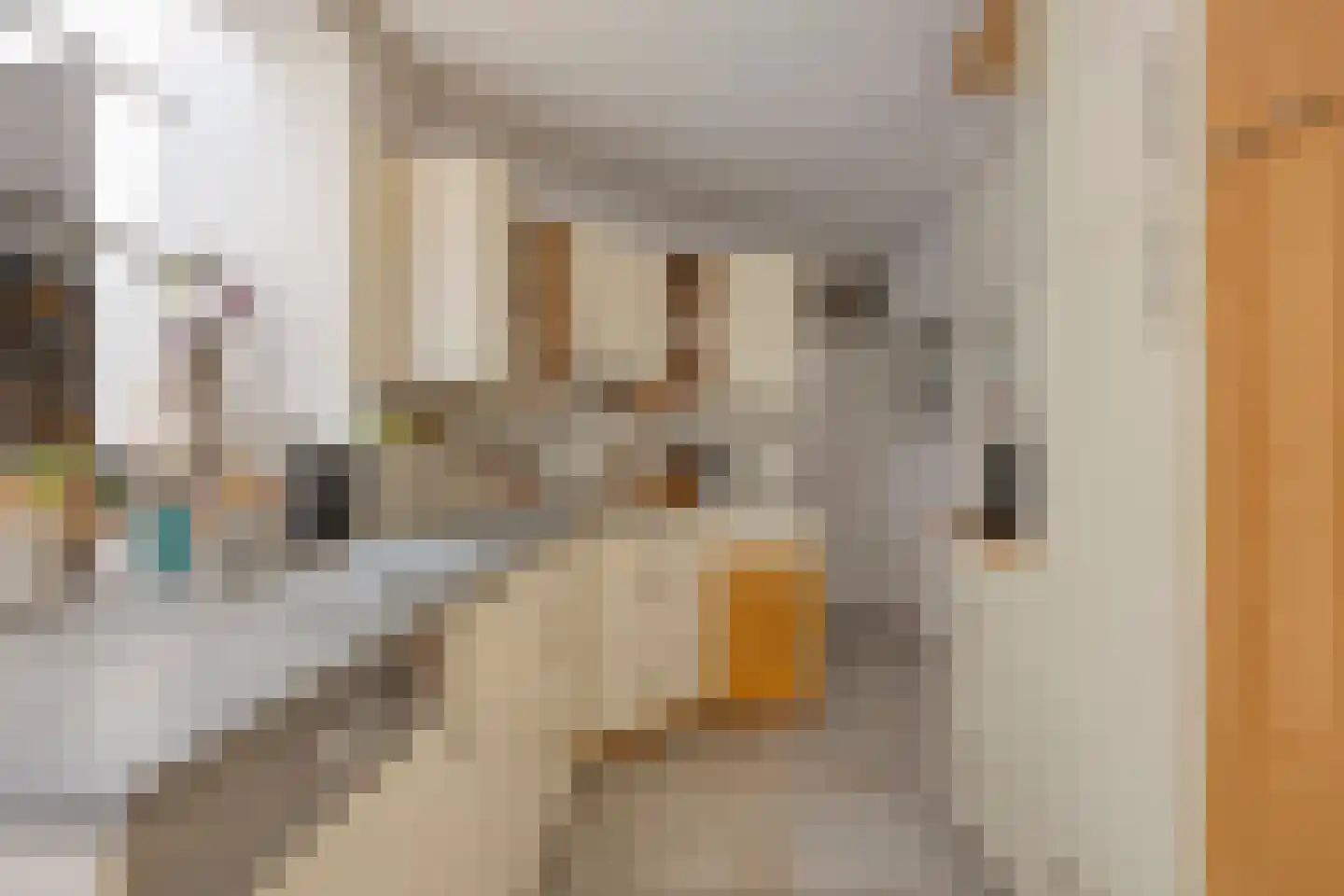 Sibeliuslaan 51 Oss thumbnail 19