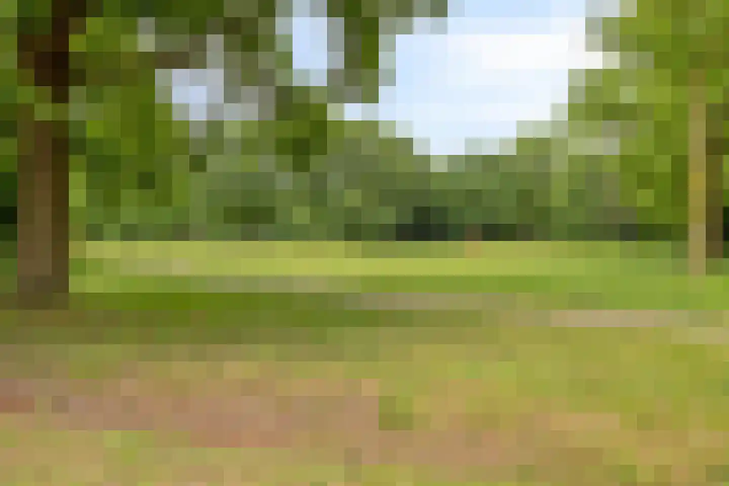 Sibeliuslaan 51 Oss thumbnail 51