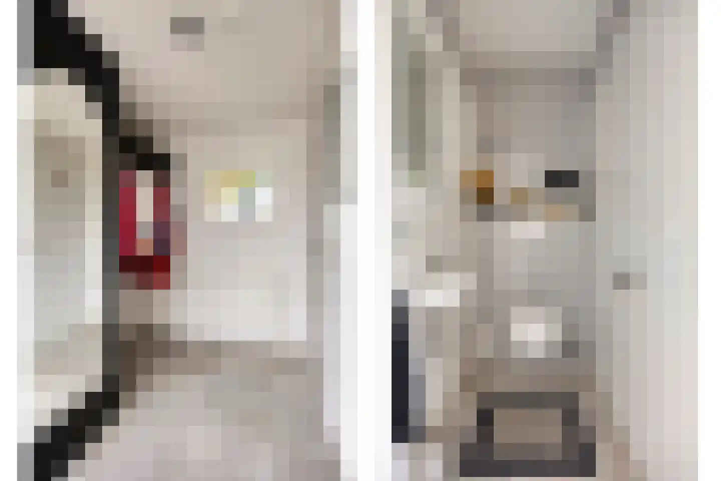 Sibeliuslaan 51 Oss thumbnail 6