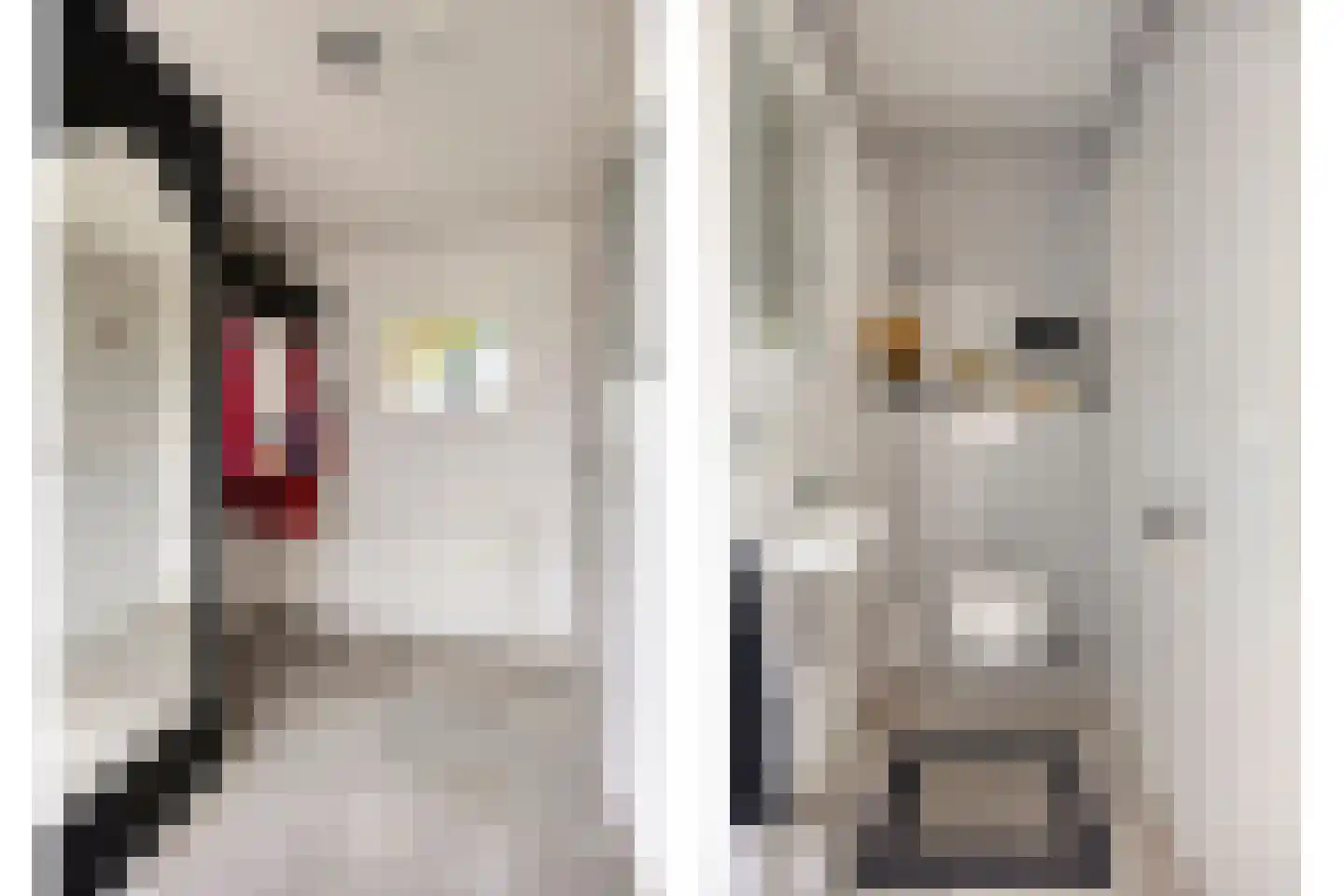 Sibeliuslaan 51 Oss thumbnail 7