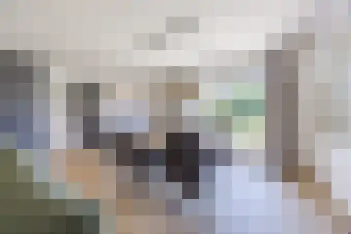 Sibeliuslaan 71 Oss thumbnail 14