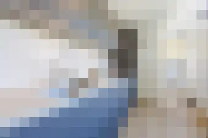 Sibeliuslaan 71 Oss thumbnail 18