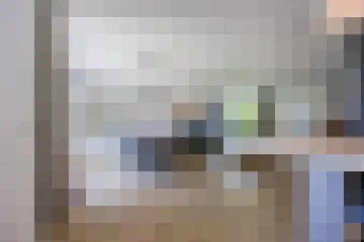 Sibeliuslaan 71 Oss thumbnail 19