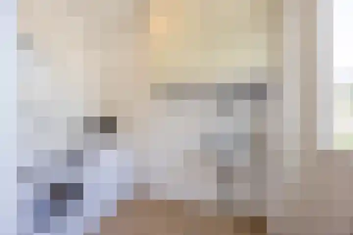 Sibeliuslaan 71 Oss thumbnail 20