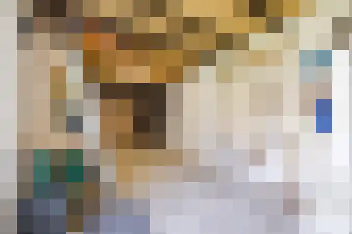 Sibeliuslaan 71 Oss thumbnail 21