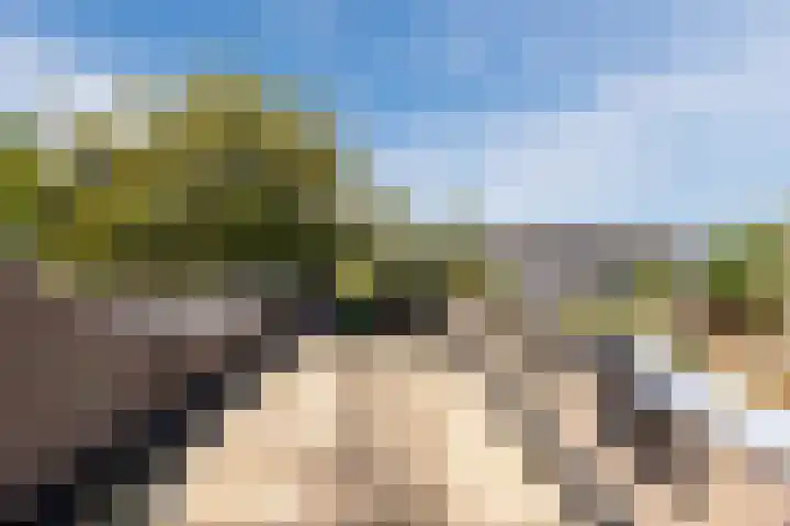 Sibeliuslaan 71 Oss thumbnail 33