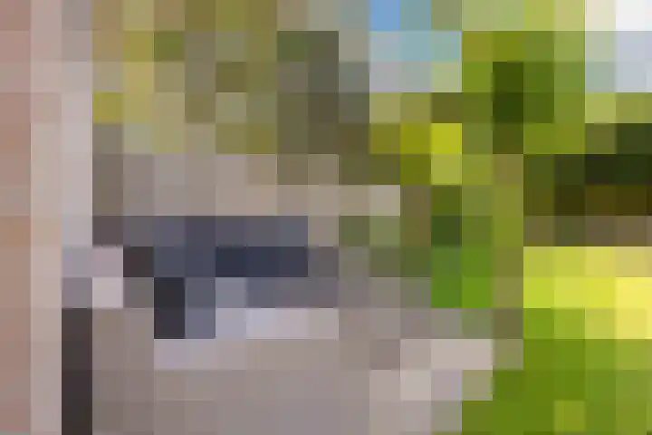 Sibeliuslaan 71 Oss thumbnail 47