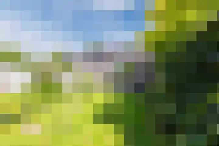 Sibeliuslaan 71 Oss thumbnail 51
