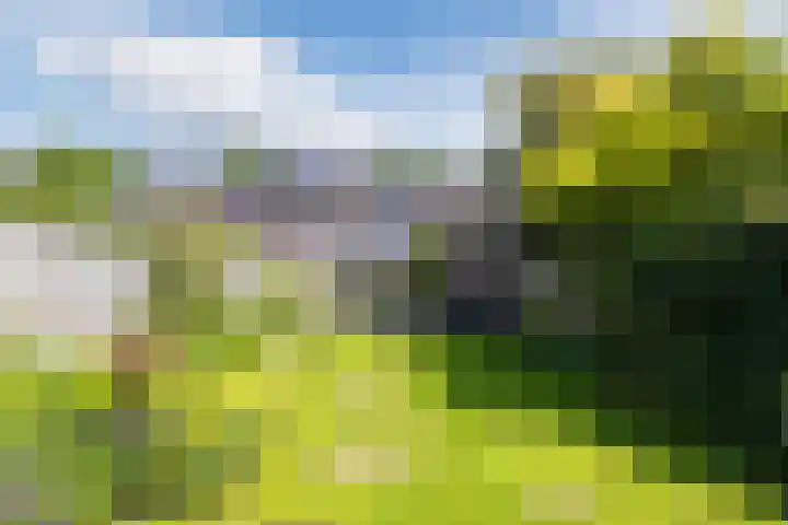 Sibeliuslaan 71 Oss thumbnail 52