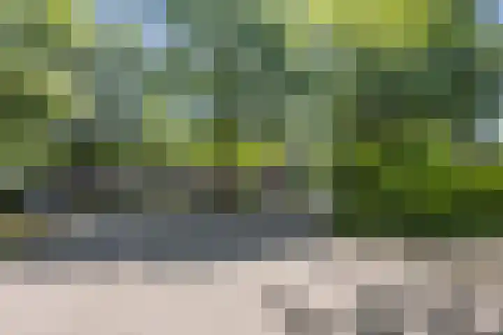 Sibeliuslaan 71 Oss thumbnail 56