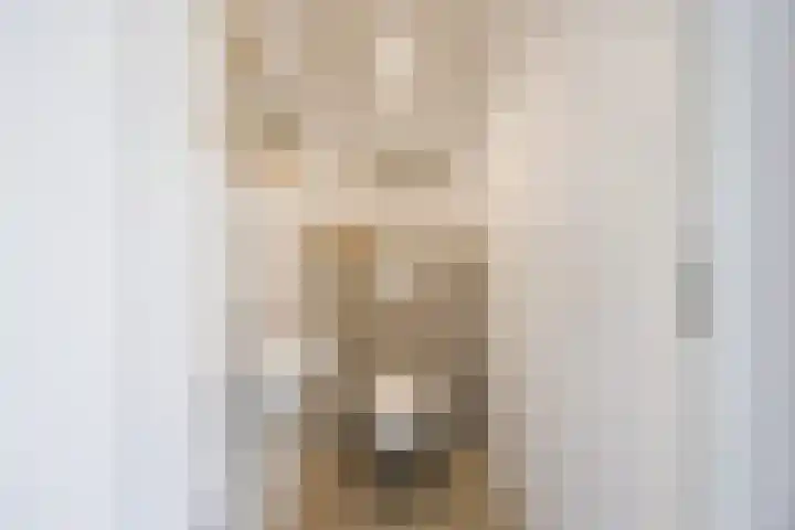 Sibeliuslaan 71 Oss thumbnail 9