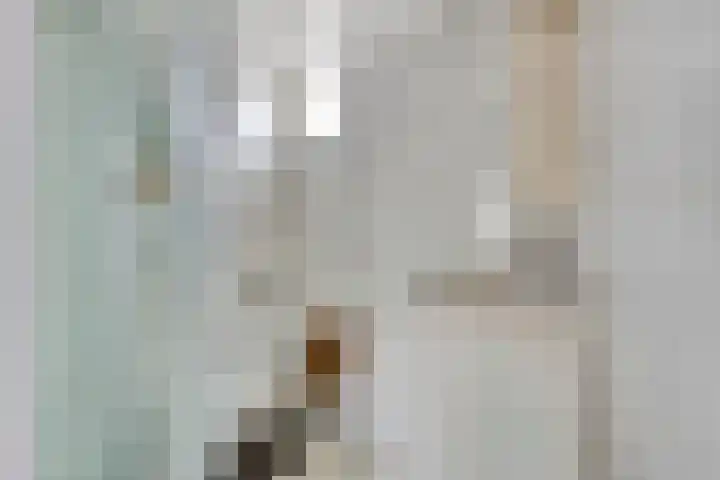 Sibeliuspad 32 Almere thumbnail 17