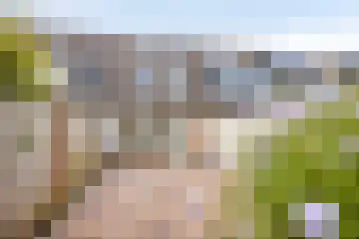 Sibeliuspad 32 Almere thumbnail 24