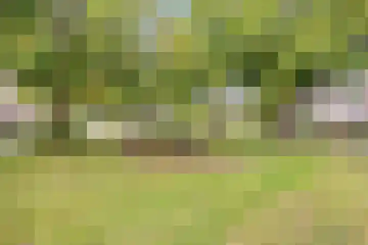 Sibeliuspad 32 Almere thumbnail 28
