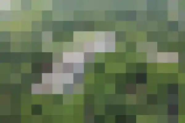 Sibeliuspark 337 Oss thumbnail 7