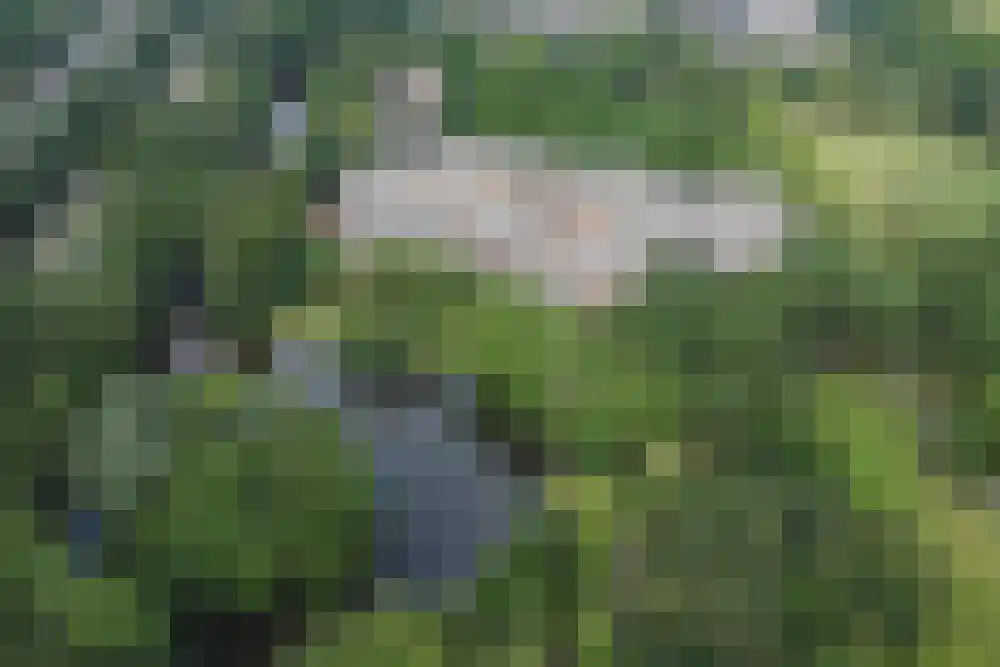 Sibeliuspark 459 Oss thumbnail 8
