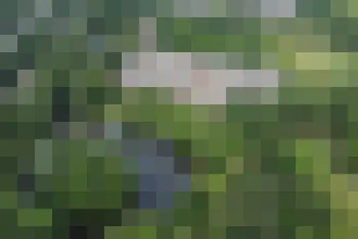 Sibeliuspark 555 Oss thumbnail 7