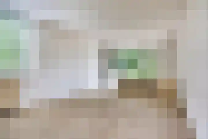 Sibeliuspark 745 Oss thumbnail 12