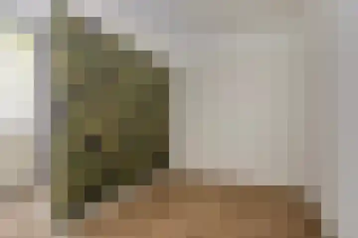 Sibeliuspark 745 Oss thumbnail 18