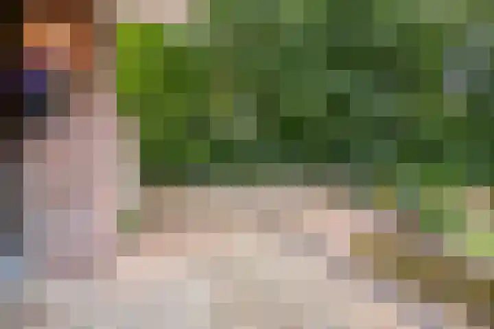 Sibeliuspark 745 Oss thumbnail 28