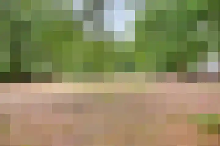 Sibeliuspark 745 Oss thumbnail 29
