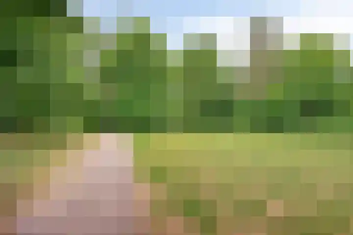 Sibeliuspark 745 Oss thumbnail 30