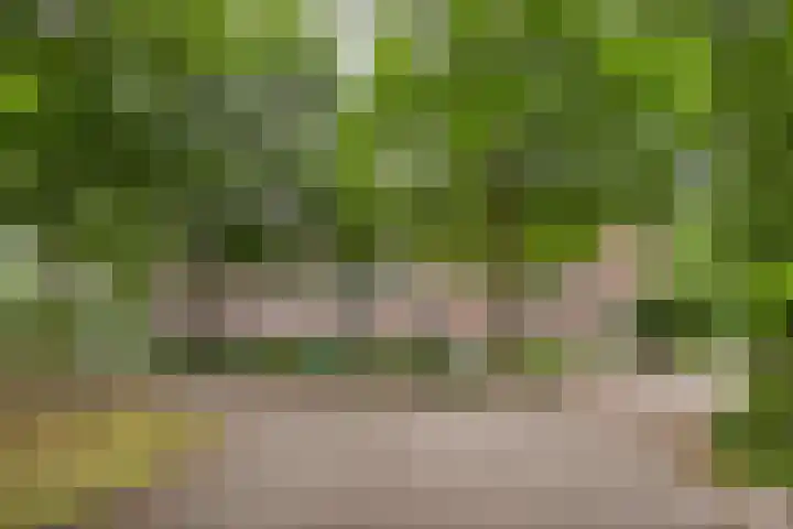Sibeliuspark 745 Oss thumbnail 31