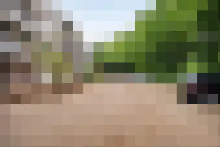 Sibeliuspark 745 Oss thumbnail 33