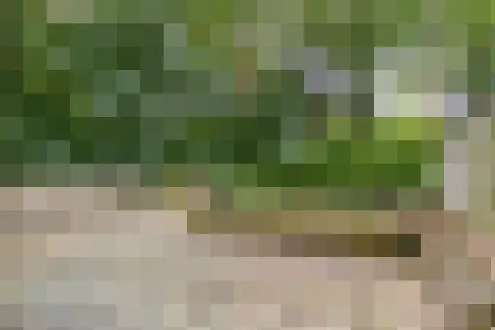 Sibeliuspark 745 Oss thumbnail 4
