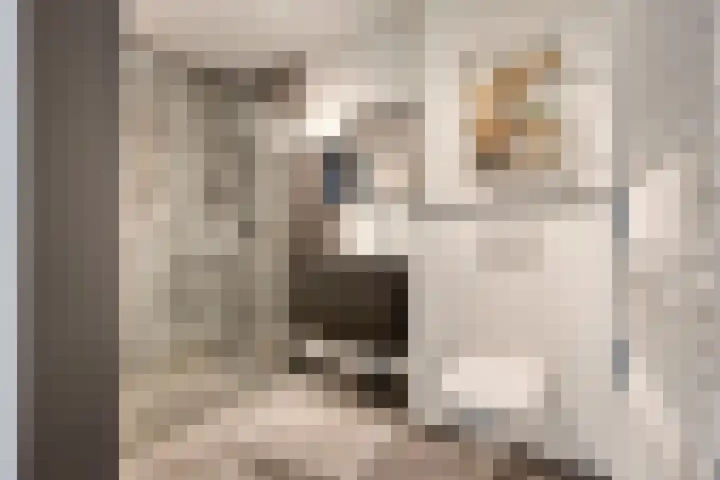 Sibeliuspark 763 Oss thumbnail 16