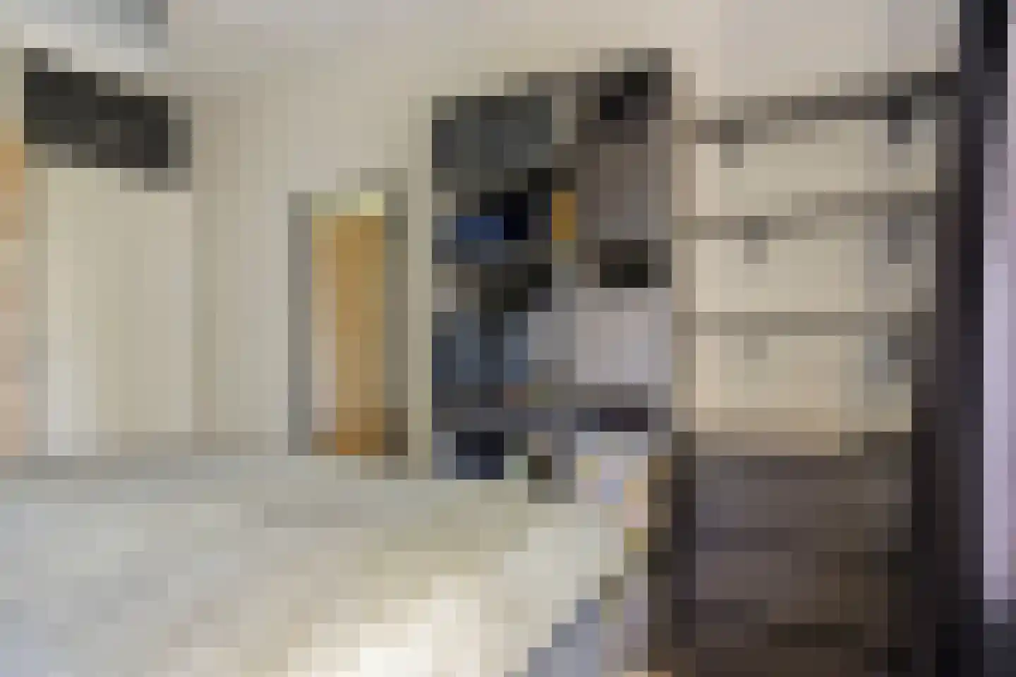 Sibeliuspark 763 Oss thumbnail 19