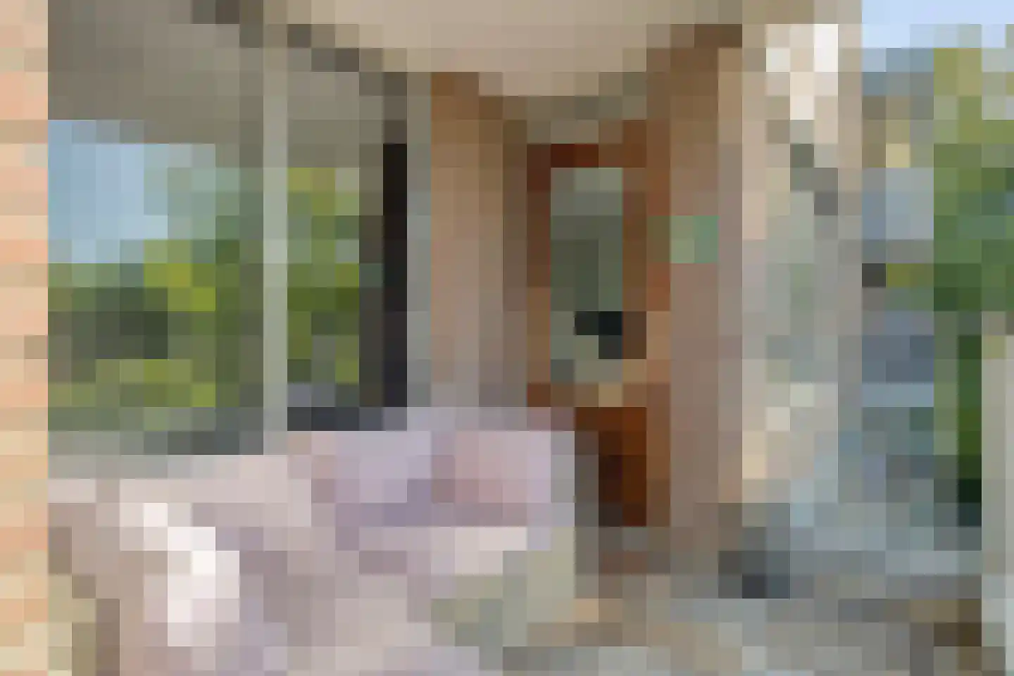 Sibeliuspark 763 Oss thumbnail 20